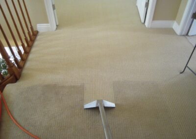 Carpet Cleaning services in Maryland
