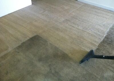 Carpet Cleaning in Virginia